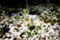 lampa-goal-zero-lighthouse-micro-charge-00014.webp
