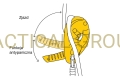 tactical-group-przyrzad-zjazdowy-petzl-ids-czarny-funkcja-antypaniczna.jpg
