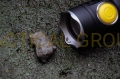 latarka-armytek-prime-c2-pro-v4-white-00005.jpg