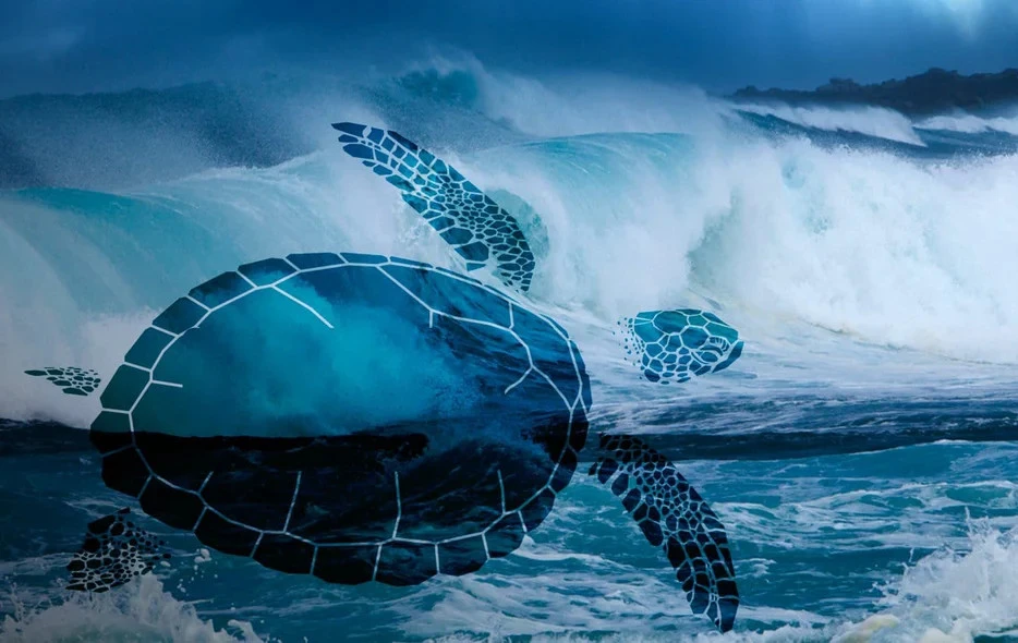 Leatherback Sea Turtle